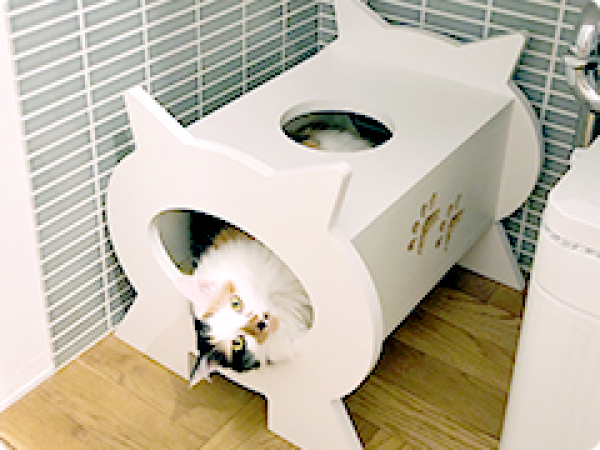 猫ハウスをオーダーメイドで作る・注文する際のポイントについて紹介サムネイル